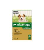 Frisco Guacamole Hide & Seek Puzzle Plush Squeaky Dog Toy - Image 3