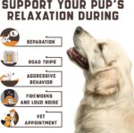 Kinpur Pet Care Calming Chews for Dogs with Hemp Oil - Image 2