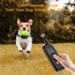 Dog Shock Collar for 2 Dogs - Image 2