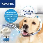 ADAPTIL Dog Calming Pheromone, 30 Day Refill - Image 3