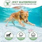 Dog Shock Collar – Electric Dog Training Collar with Remote - Image 3